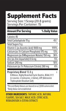 2ALPHA Ammunition Arctic Berry (Hydration, Energy, & Immune Support)