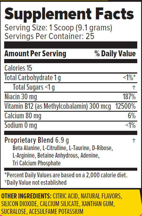 2ALPHA Performance Berry Energy (Caffeine Free)